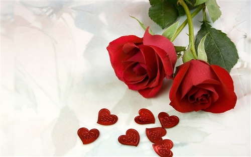 夏至未至短句赏析(夏至未至名句摘抄)(图1) 夏至未至短句赏析(夏至未至名句摘抄)(图1)