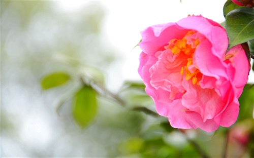 多啦爱梦伴我同行语录(伴我同行多啦a梦豆瓣)(图1) 多啦爱梦伴我同行语录(伴我同行多啦a梦豆瓣)(图1)