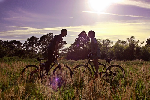 夕阳夜景唯美句子（夕阳夜景唯美句子图片）(图1)