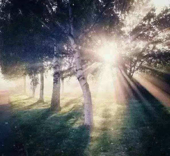 大人有大量的人生格言(大人有大量的人生格言是什么)(图1) 大人有大量的人生格言(大人有大量的人生格言是什么)(图1)