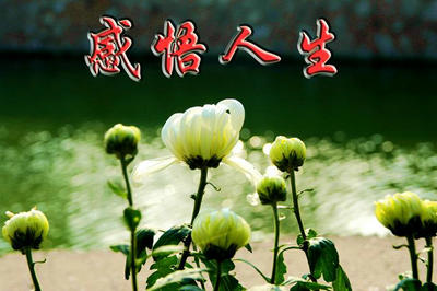 大山风景文案短句干净（大山深处风景文案）(图1)