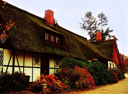 大西北的唯美短句（描述大西北的句子）(图1)