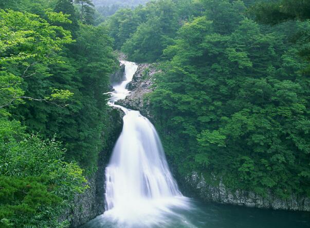 夸人好看优美的句子摘抄(夸人漂亮的优美句子)(图1) 夸人好看优美的句子摘抄(夸人漂亮的优美句子)(图1)