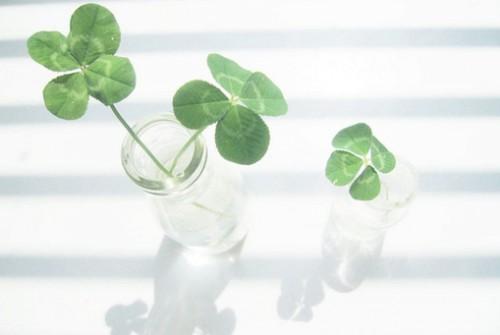 夸张句六年级短句（六年级夸张句大全）(图1)