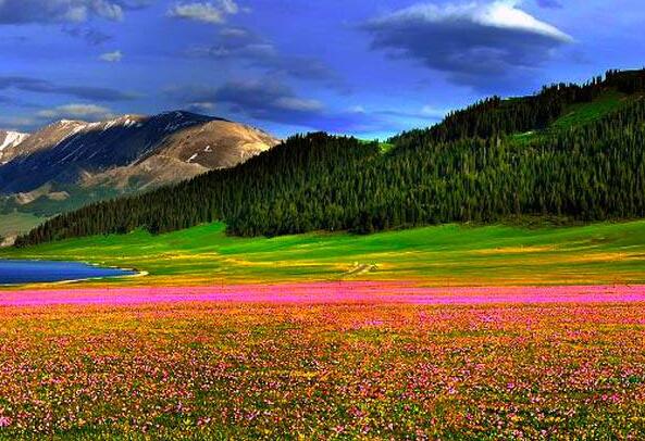 奥林匹克的格言口号（奥林匹克的格言是）(图1)