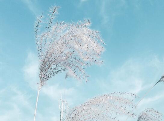 女人的成长的经典语录（女人的成长的经典语录英文）(图1)