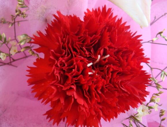 女生个性心情说说（女生唯美的句子说说心情）(图1)