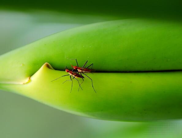 好句子摘抄10字励志(好句摘抄100个短一点10个字)(图1) 好句子摘抄10字励志(好句摘抄100个短一点10个字)(图1)