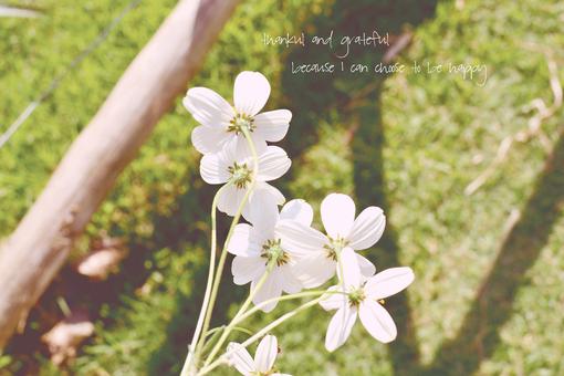 好听的励志人生格言（有什么励志的人生格言）(图1)