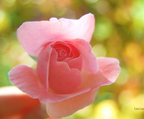 好干部20字标准的格言(这就是好干部的20字标准)(图1) 好干部20字标准的格言(这就是好干部的20字标准)(图1)