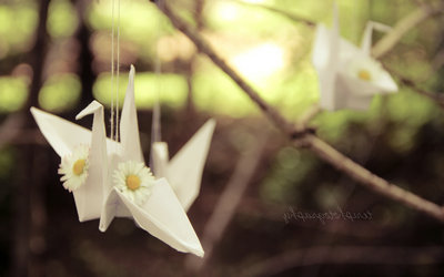 好朋友的说说心情句子（好朋友的句子唯美超短句）(图1)