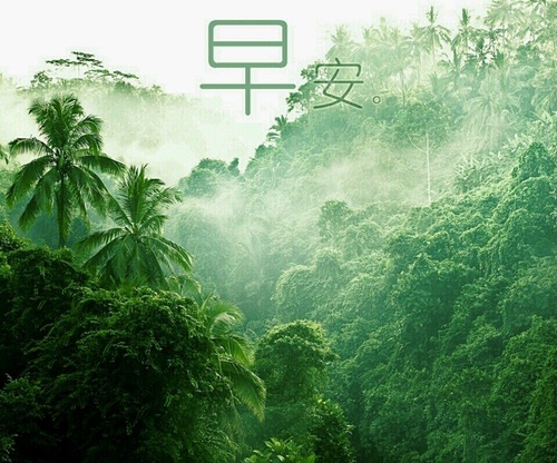 孝敬父母文案短句（孝敬父母文字）(图1)