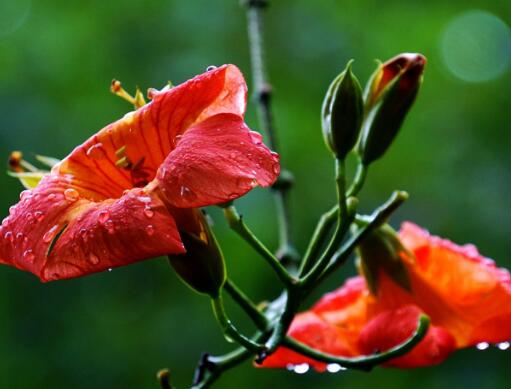 学会做自己主人的名言（我是自己的主人名言）(图1)