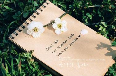 宇智波斑的语录日文（宇智波斑语录日语翻译）(图1)