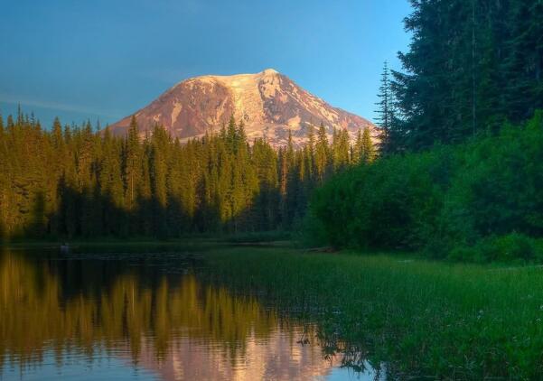 安全经典语录小学生（小学生安全名言警句摘抄大全）(图1)