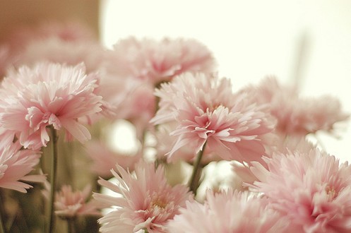 家人健康的句子短句(一家人身体健康的句子简短)(图1) 家人健康的句子短句(一家人身体健康的句子简短)(图1)