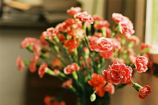 家庭美满和睦的短句子(家庭美满和睦的短句子图片卡通可爱)(图1) 家庭美满和睦的短句子(家庭美满和睦的短句子图片卡通可爱)(图1)