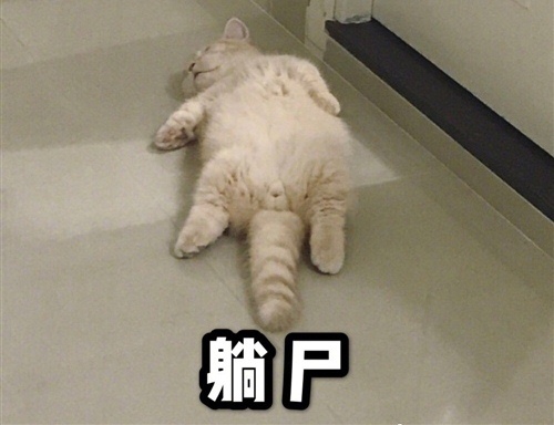 家规家训20条格言(家规家训的经典句子)(图1) 家规家训20条格言(家规家训的经典句子)(图1)