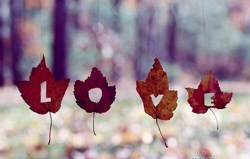 对母亲的寄语短句(给母亲的短句子祝福语)(图1) 对母亲的寄语短句(给母亲的短句子祝福语)(图1)