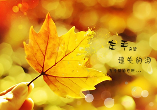 对比衬托手法的短句（用对比和衬托的手法写句子）(图1)