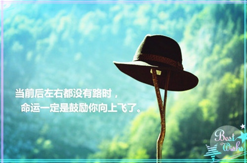 对自己负责的人生格言(对自己负责的人生格言短句)(图1) 对自己负责的人生格言(对自己负责的人生格言短句)(图1)