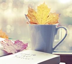 寻求自我成功语录(寻求自我的名言警句怎么写)(图1) 寻求自我成功语录(寻求自我的名言警句怎么写)(图1)