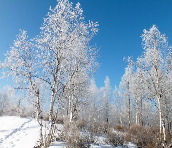 小学英语谚语或格言(小学英语谚语200句简短的)(图1) 小学英语谚语或格言(小学英语谚语200句简短的)(图1)