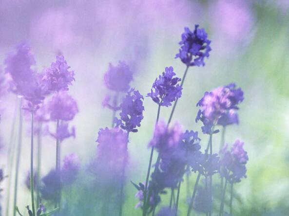 工作名人格言大全(工作名人格言大全短句)(图1) 工作名人格言大全(工作名人格言大全短句)(图1)