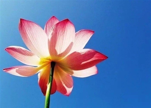 山水一程文案短句（关于山水的一句话文案短句）(图1)