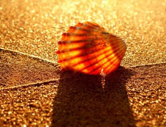 工匠精神英语名言(工匠精神的格言警句)(图1) 工匠精神英语名言(工匠精神的格言警句)(图1)