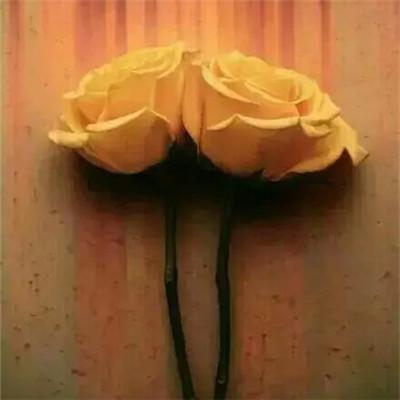 左宗棠励志名言名句（左宗棠四句励志名言有哪些）(图1)