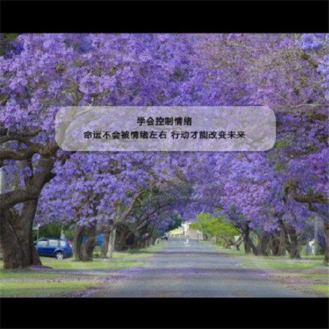 川端康成励志经典句子（川端康成的句子）(图1)