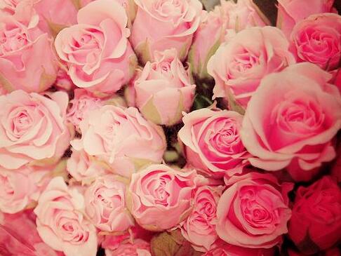 常见格言警句大全(格言警句有哪些句子)(图1) 常见格言警句大全(格言警句有哪些句子)(图1)