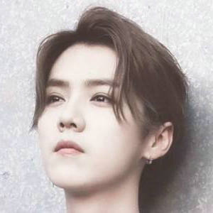 幼儿园儿童教育理念格言(跟幼儿有关的教育理念是什么)(图1) 幼儿园儿童教育理念格言(跟幼儿有关的教育理念是什么)(图1)