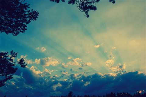 幼儿园孩子笑容唯美句子(幼儿园孩子的笑声说说心情怎么写的)(图1) 幼儿园孩子笑容唯美句子(幼儿园孩子的笑声说说心情怎么写的)(图1)