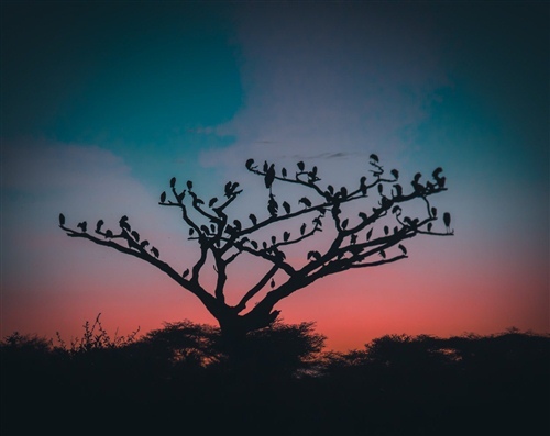 幽默有趣简短句子(幽默有趣的短句子)(图1) 幽默有趣简短句子(幽默有趣的短句子)(图1)