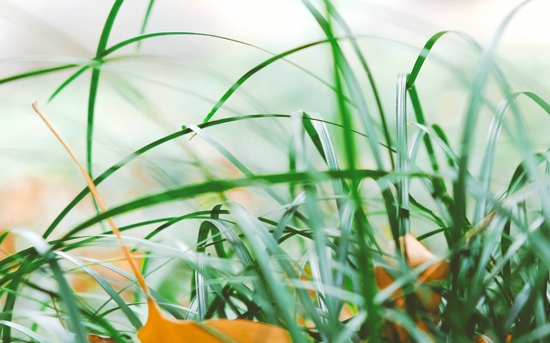 幽默洗澡说说文案（搞笑洗澡说说）(图1)