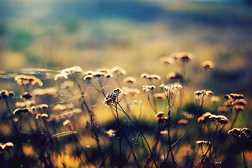 店家买家秀经典语录(店家买家秀经典语录怎么写)(图1) 店家买家秀经典语录(店家买家秀经典语录怎么写)(图1)