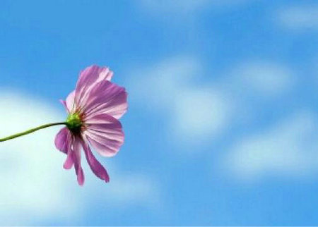 廉政宣传标语格言（廉洁宣传标语简短）(图1)