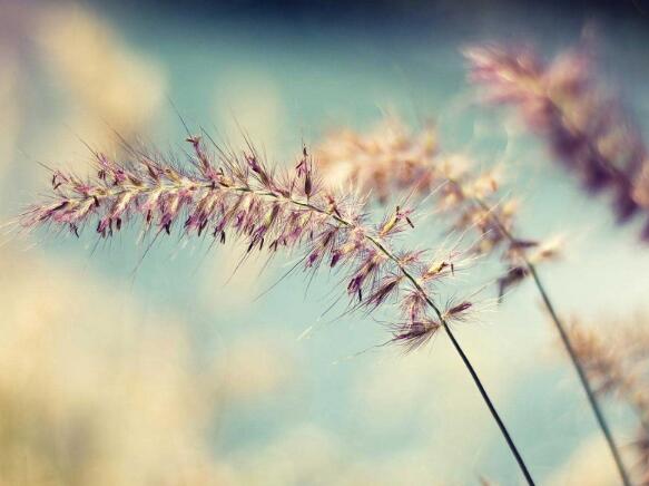 廉洁寄语警示格言（廉洁寄语最新给老婆）(图1)