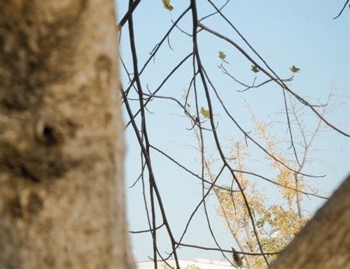 形容团结力量大的短句(形容团结力量大的短句子)(图1) 形容团结力量大的短句(形容团结力量大的短句子)(图1)