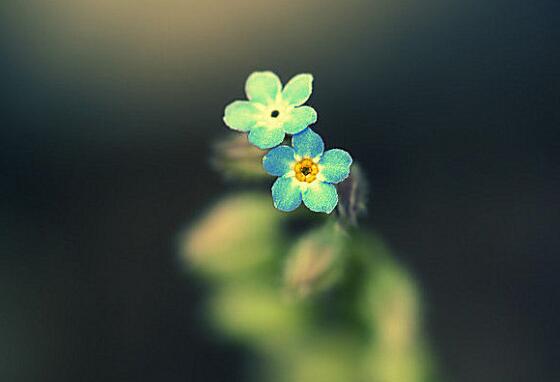 当年参战老兵的经典语录(听参战老兵讲那过去的故事)(图1) 当年参战老兵的经典语录(听参战老兵讲那过去的故事)(图1)