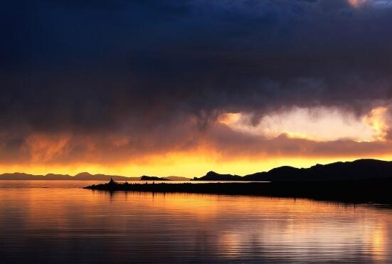 形容梅花的词语短句（形容梅花的词语和句子）(图1)