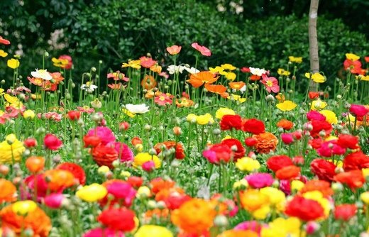 很冷的冷笑话语录(很冷的冷笑话语录图片)(图1) 很冷的冷笑话语录(很冷的冷笑话语录图片)(图1)