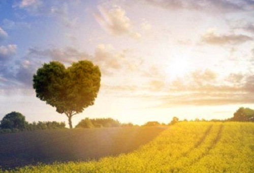 很怀念以前的短句子(特别怀念以前的说说)(图1) 很怀念以前的短句子(特别怀念以前的说说)(图1)