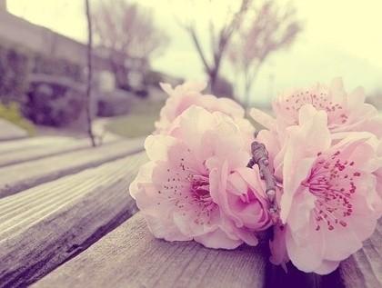 形容鼻子优美的短句（形容鼻子英语句子）(图1)