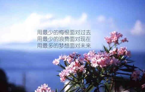 形象的重要性的经典语录（说明形象重要性的谚语）(图1)