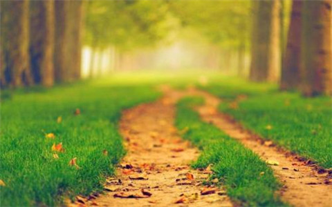 心里很烦躁的英文说说(心很烦的英语句子发朋友圈)(图1) 心里很烦躁的英文说说(心很烦的英语句子发朋友圈)(图1)