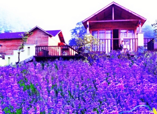 怀揣梦想出发励志句子(怀揣梦想的诗句)(图1) 怀揣梦想出发励志句子(怀揣梦想的诗句)(图1)