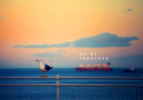 思念家的唯美句子(关于思念家的说说句子)(图1) 思念家的唯美句子(关于思念家的说说句子)(图1)